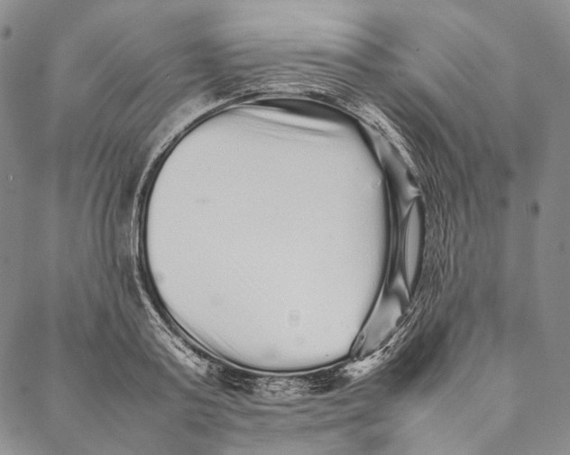 X0000087060795200705091159