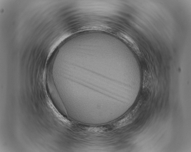 X0000087060796200705091159