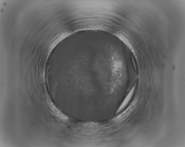 X0000087060797200705091159