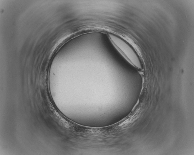 X0000087060799200705091159