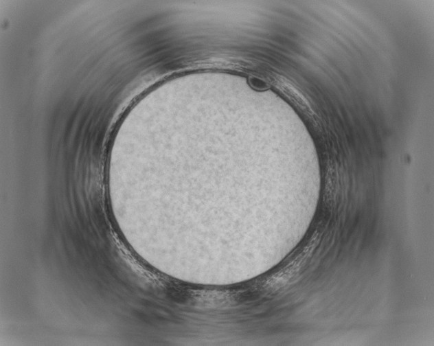 X0000087060800200705091159