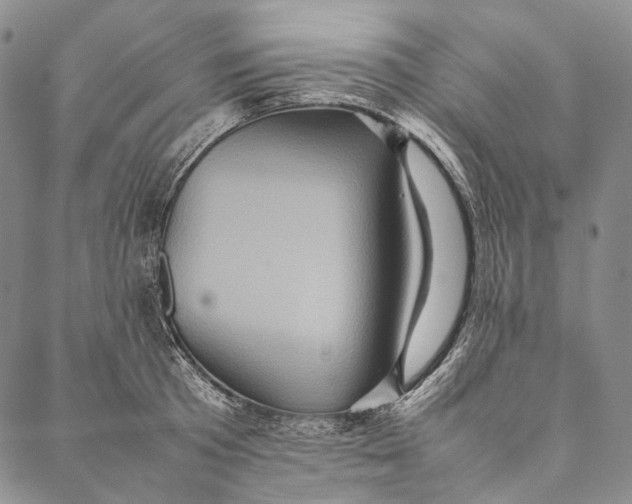 X0000087060801200705091159