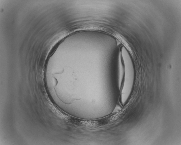 X0000087060805200705091159