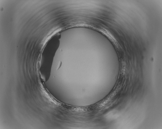 X0000087060806200705091159