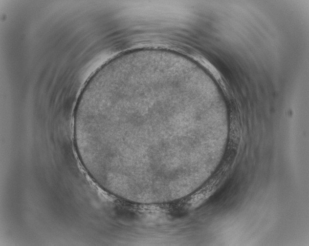 X0000087060807200705091159