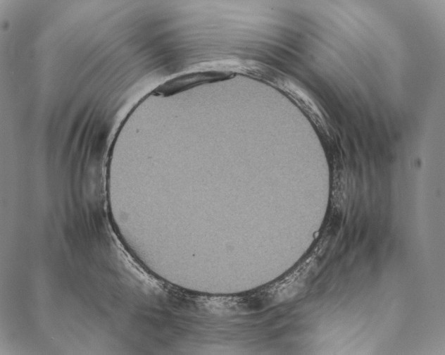 X0000087060808200705091159