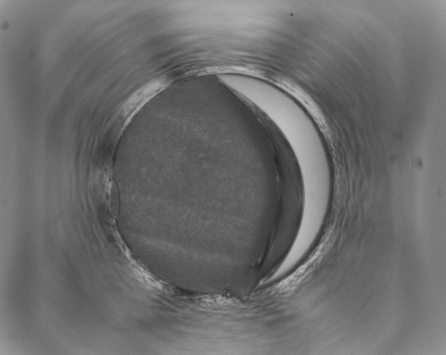 X0000087060809200705091159