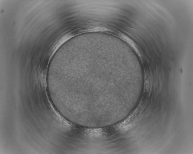 X0000087060810200705091159