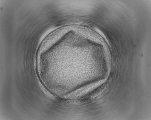 X0000087060811200705091159