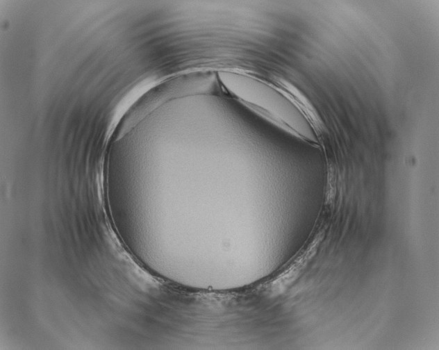 X0000087060812200705091159