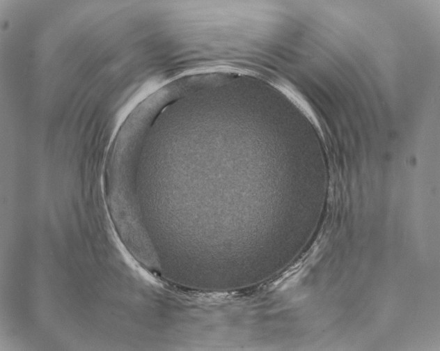 X0000087060813200705091159