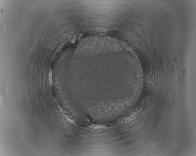 X0000087060818200705091158