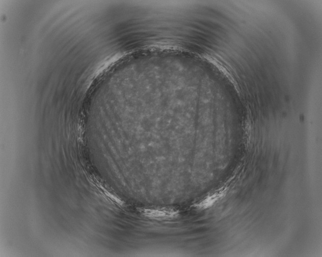 X0000087060823200705091158