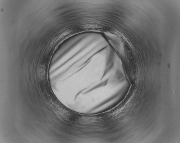 X0000087060825200705091158