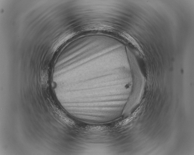 X0000087060826200705091158