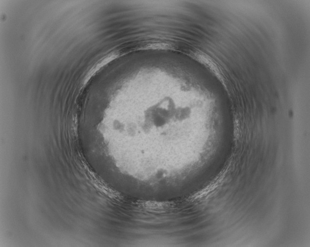 X0000087060827200705091158