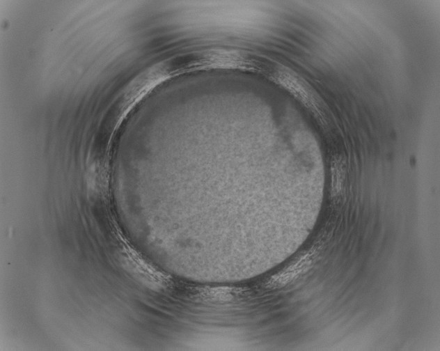 X0000087060828200705091158