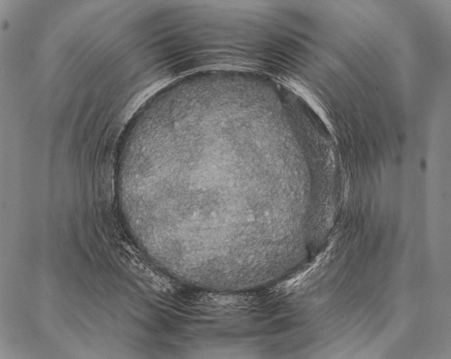 X0000087060829200705091158