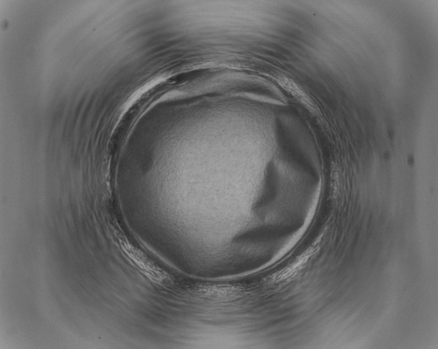 X0000087060830200705091158