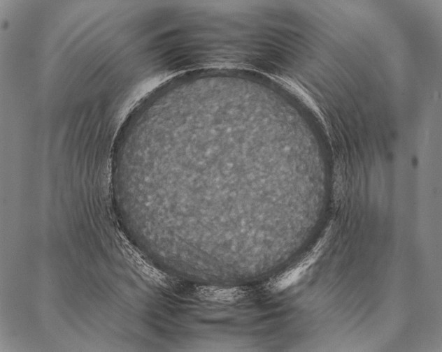 X0000087060831200705091158