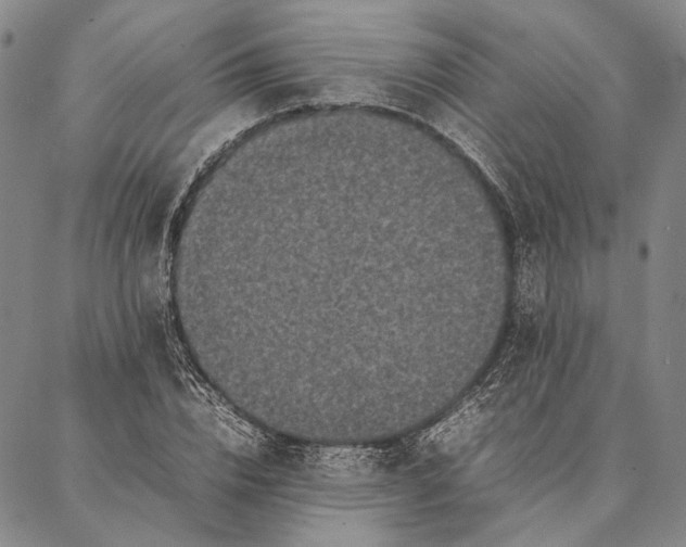 X0000087060832200705091158