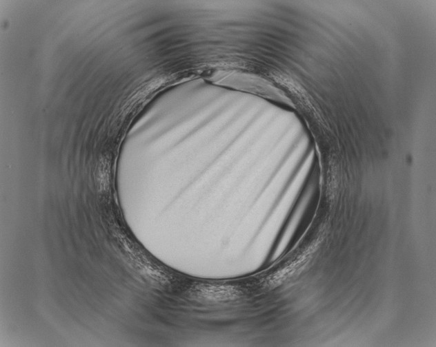 X0000087060833200705091158