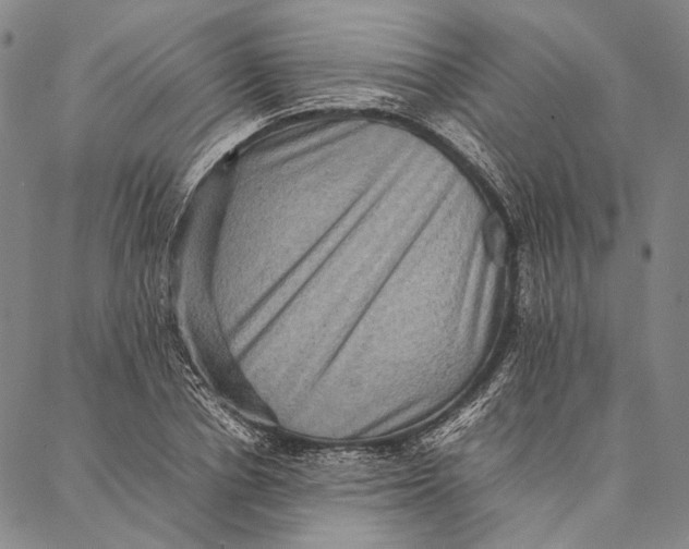 X0000087060834200705091158