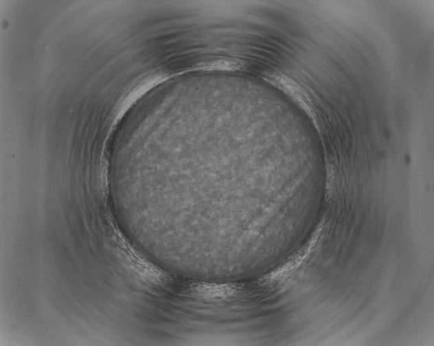 X0000087060835200705091158