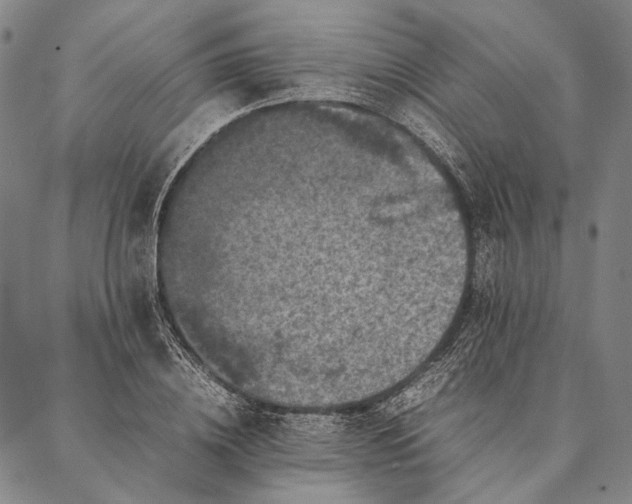 X0000087060836200705091158