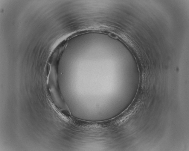 X0000087060838200705091158