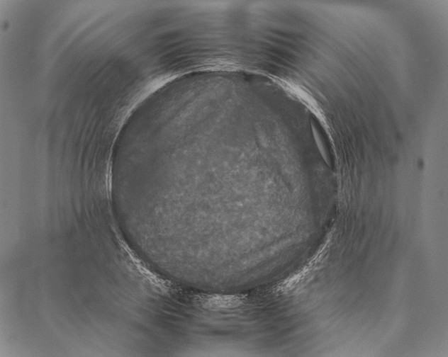 X0000087060839200705091158