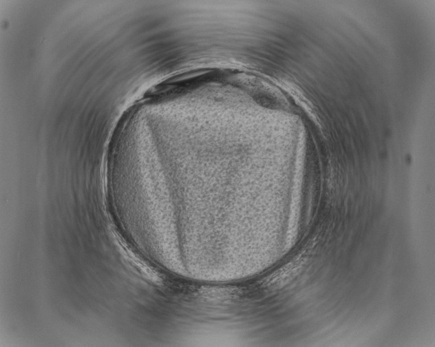 X0000087060840200705091158