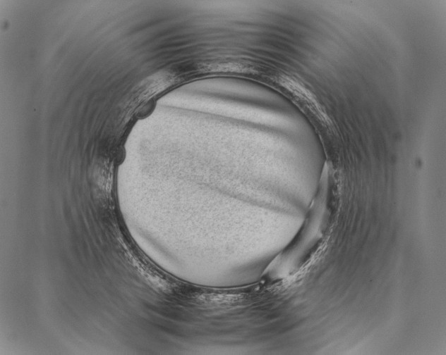 X0000087060841200705091158