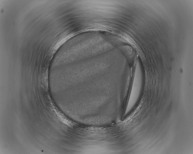 X0000087060842200705091158