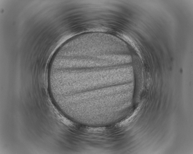 X0000087060843200705091158