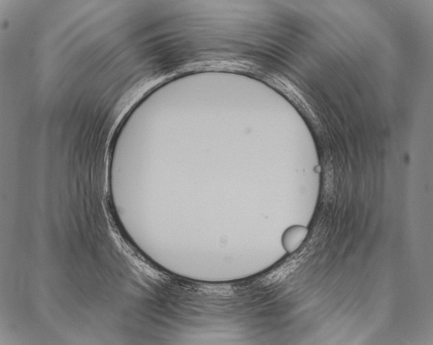 X0000087060844200705091158