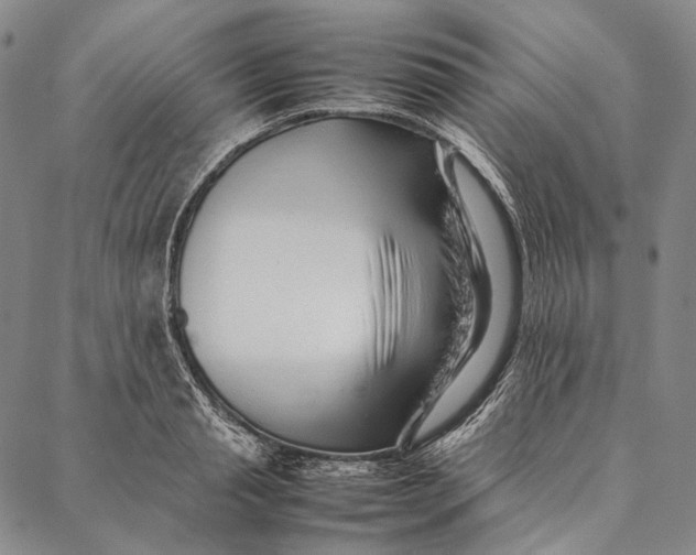 X0000087060845200705091158