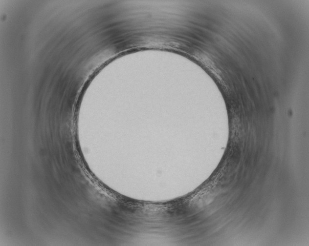 X0000087060848200705091158