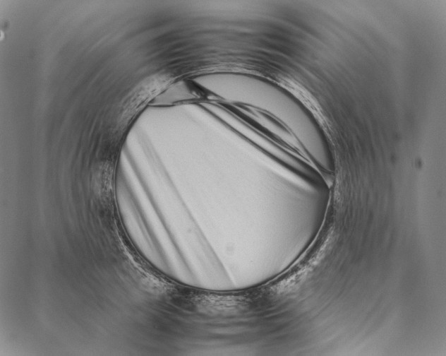 X0000087060849200705091159