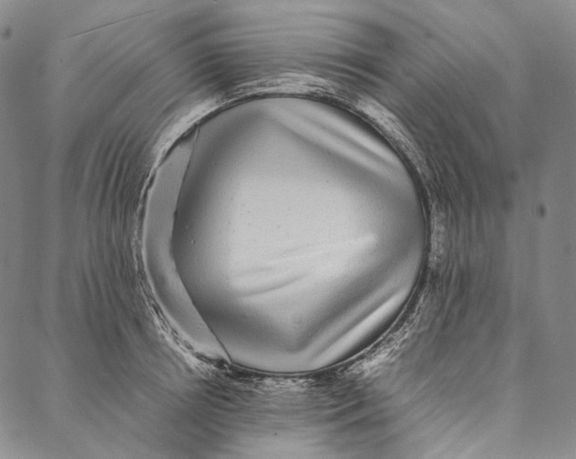 X0000087060850200705091159