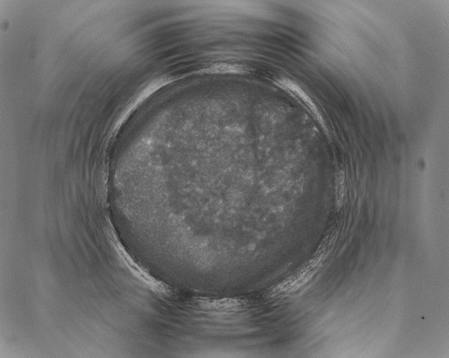 X0000087060851200705091159