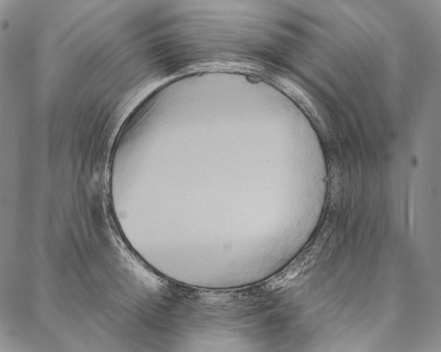 X0000087060852200705091159