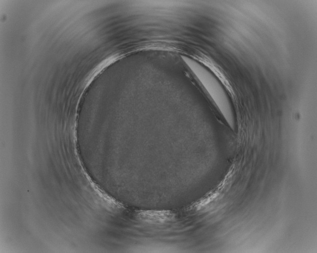 X0000087060853200705091159