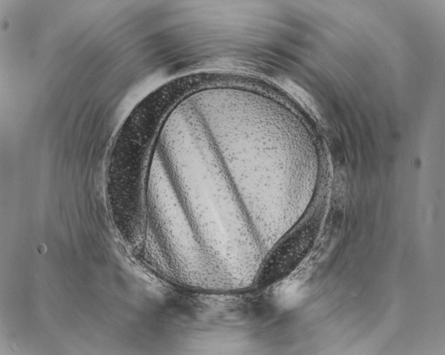 X0000087060854200705091159