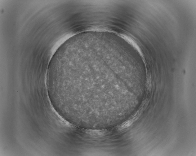 X0000087060855200705091159