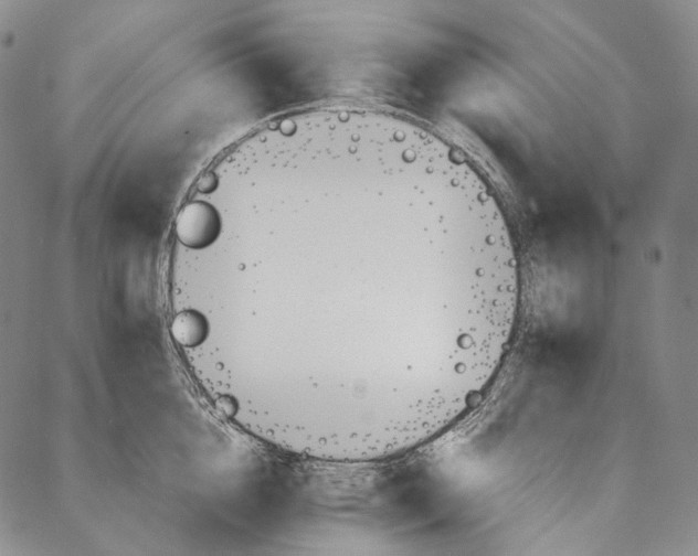 X0000087060856200705091159