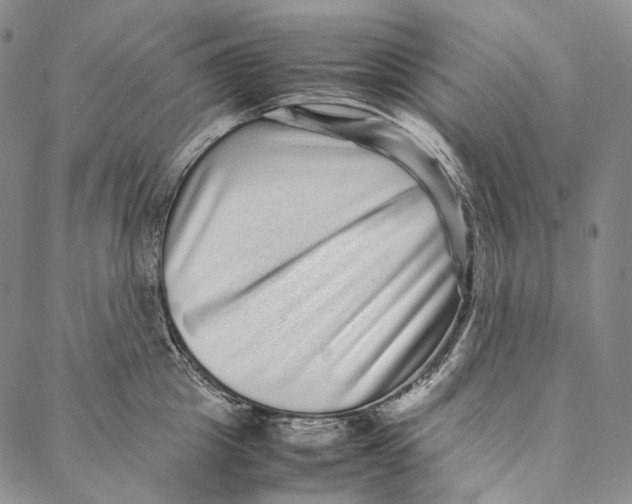 X0000087060857200705091159