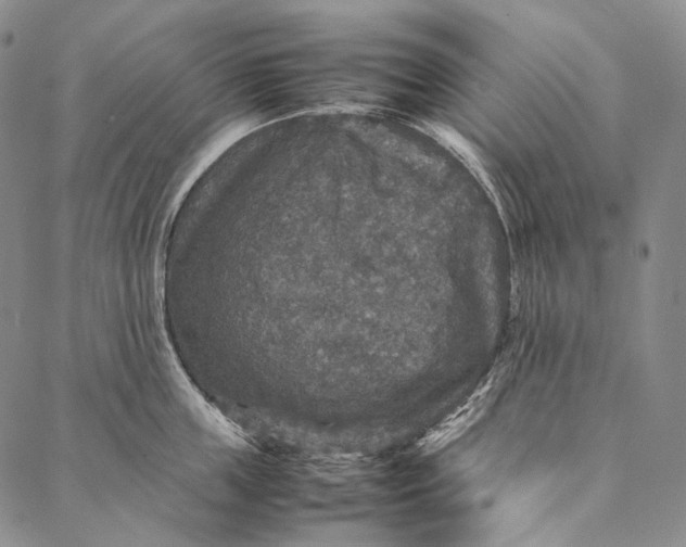 X0000087060859200705091159