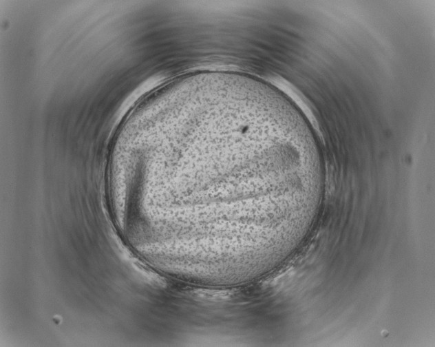 X0000087060861200705091159