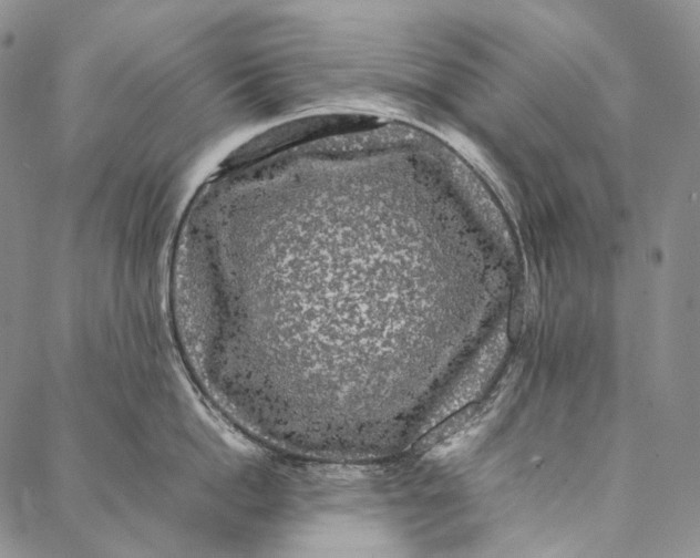 X0000087060862200705091159